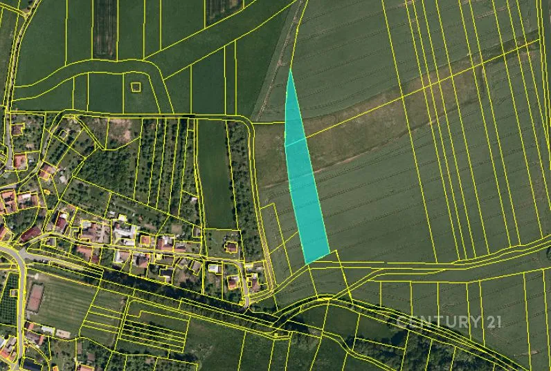 Prodej pole 6619 m²